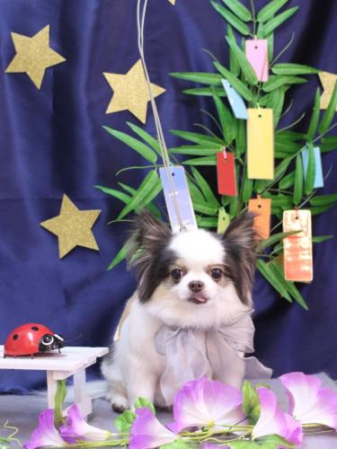 20230721リアンくん